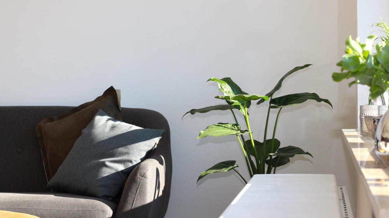 Seeblick25 - Apartments - Balkony - Wifi - Great View - New & Modern Winterberg Eksteriør billede