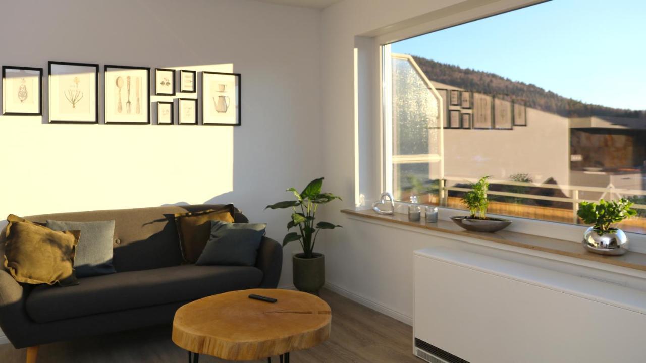 Seeblick25 - Apartments - Balkony - Wifi - Great View - New & Modern Winterberg Eksteriør billede