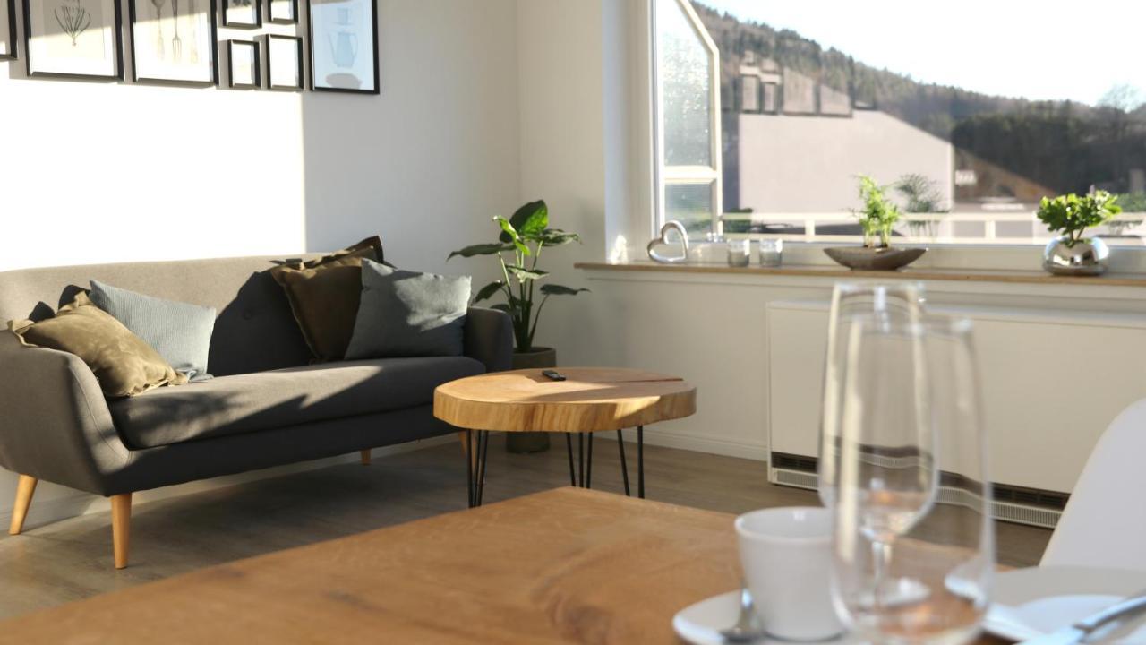 Seeblick25 - Apartments - Balkony - Wifi - Great View - New & Modern Winterberg Eksteriør billede